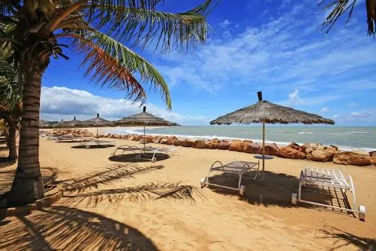 Saly